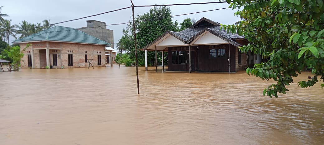 Menyikapi Banjir Bandang Kalimantan Selatan: Solusi, Dampak, dan Harapan Baru